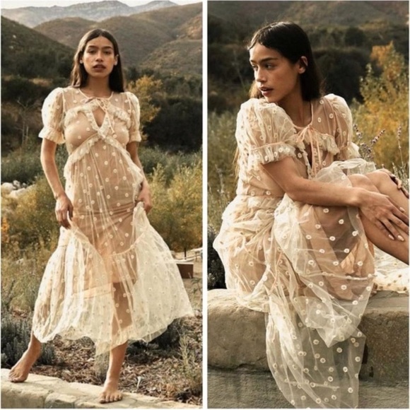 Doen Zelda Sheer Floral Maxi Dress in Faded Peach - Size XS - Picture 4 of 14